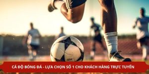 Cá Độ Bóng Đá - Lựa Chọn Số 1 Cho Khách Hàng Trực Tuyến